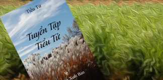 Tuyển Tập Tiểu Tử