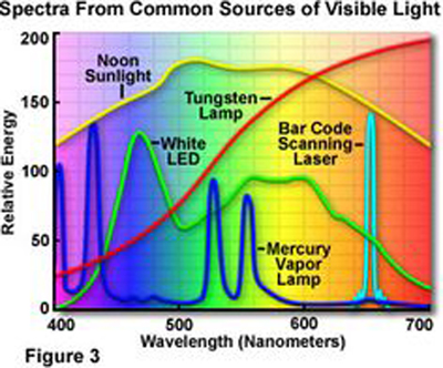 Image Courtesy of Google.