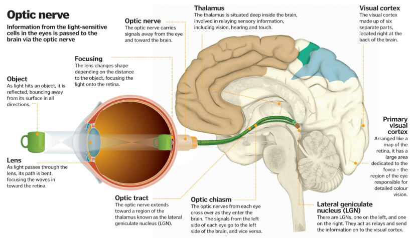 Image Courtesy of Google.