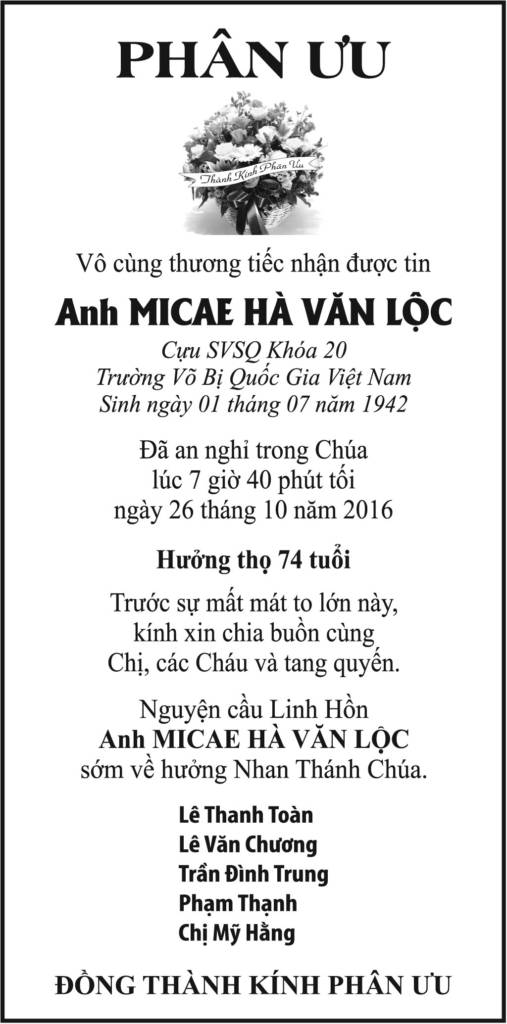 10550317-PU-14P- MICAE HA VAN...