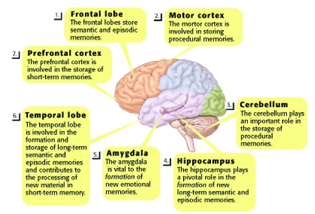 Courtesy image by Google