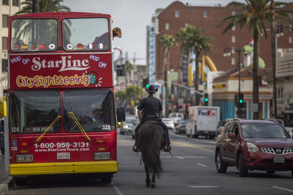 LOS ANGELES, CA - DECEMBER 06: A Los Angeles Police Department Mounted Platoon officer rides down Hollywood Boulevard as police and deputies step up security near the Hollywood/Highland Red Line Metro train station and other stops on December 6, 2016 in Los Angeles, California. An increase in security is in response to Federal and Los Angeles officials who say they were alerted by authorities in another country that an imminent and very specific threat has been made against the city's Red Line commuter rail system. (Photo by David McNew/Getty Images)