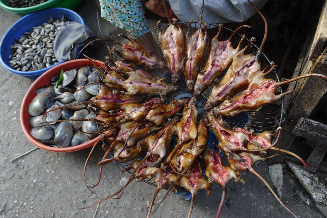 Chuột đồng, món nhậu khoái khẩu của người miền Tây. (Hình: Getty Images)