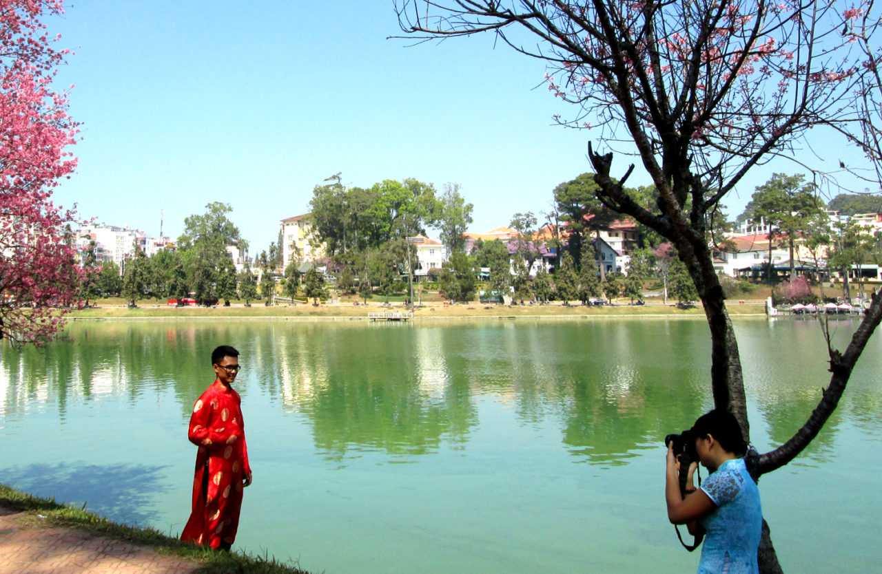 Da-lat-MuaVang-05