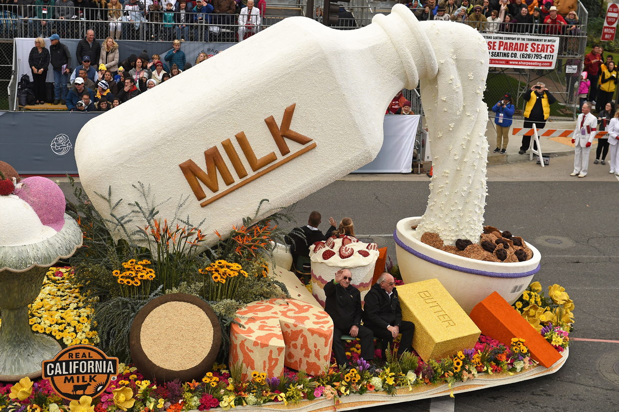 The California Milk Advisory Board float celebrating California dairy farms participates in the 128th Rose Parade in Pasadena, California, January 2, 2017. The Rose Parade, also known as the Tournament of Roses Parade, is part of "America's New Year Celebration" held in Pasadena, California each year on New Year's Day, or on January 2 if New Year's Day falls on a Sunday. The parade's Never on Sunday tradition dates to 1893, the first year since the start of the event that New Years Day fell on a Sunday. To avoid frightening horses that would be hitched outside churches on a Sunday the parade was moved to the next day, January 2. / AFP / Robyn Beck (Photo credit should read ROBYN BECK/AFP/Getty Images)