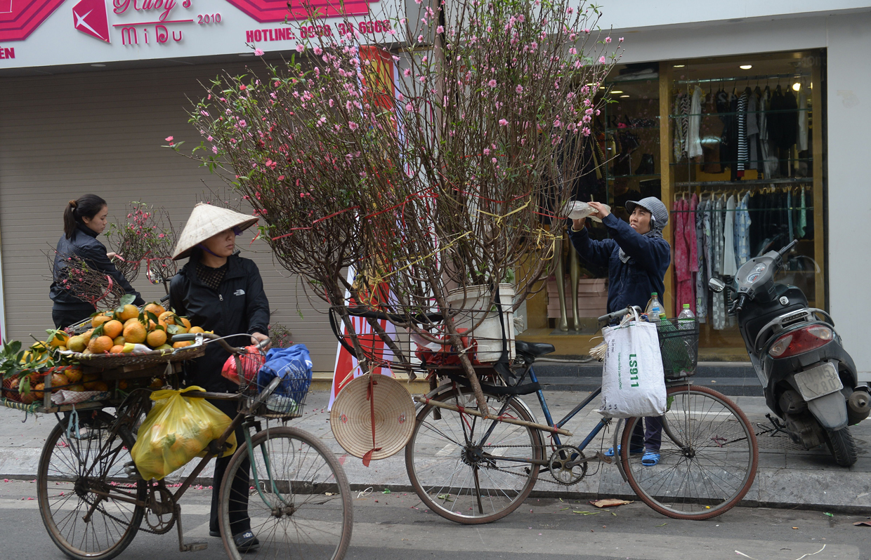 Vendors sell peach blossoms along a street in downtown Hanoi on January 23, 2017, as Vietnamese prepare to celebrate the Lunar New Year or Tet later this week. Known locally as Tet, the celebration of the Lunar New Year is Vietnam's most important holiday and triggers a surge in consumption and travel ahead of an extended nationwide shutdown. / AFP / HOANG DINH NAM (Photo credit should read HOANG DINH NAM/AFP/Getty Images)