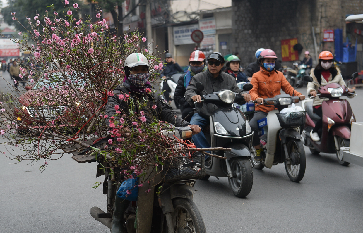 A farmer riding a motorcycle transports blossoms for sale along a street in downtown Hanoi on January 23, 2017, as Vietnamese prepare to celebrate the Lunar New Year or Tet later this week. Known locally as Tet, the celebration of the Lunar New Year is Vietnam's most important holiday and triggers a surge in consumption and travel ahead of an extended nationwide shutdown. / AFP / HOANG DINH NAM (Photo credit should read HOANG DINH NAM/AFP/Getty Images)