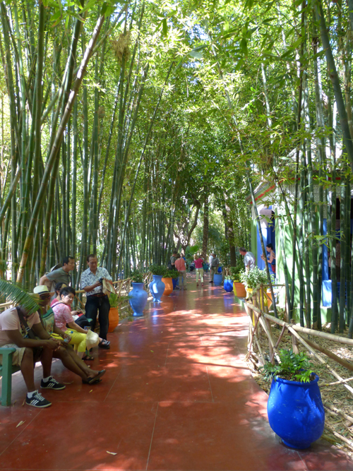 Khu vườn tre trong Jardin Majorelle. (Hình ATNT Tours & Travel)