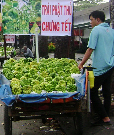 Trái Phật Thủ du nhập từ miền Bắc trưng lấy hên,những ngày cuối năm này được bán với giá là 120 ngàn đồng/trái. (Hình: Văn Lang/Người Việt)
