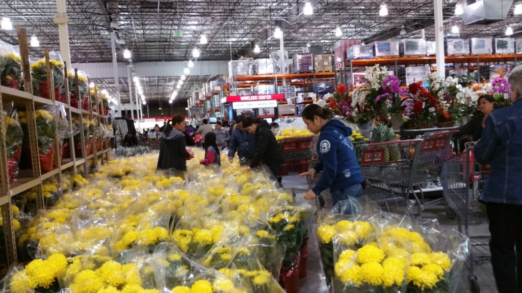 Costco, hệ thống cửa hàng bán sỉ lớn nhất nhì của Mỹ - vẫn có những mặt hàng hoa quả đáp ứng cho nhu cầu mua sắm Tết Nguyên Đán của người châu Á nói chung, Việt Nam nói riêng tại Quận Cam. (Hình: Ngọc Lan/Người Việt)