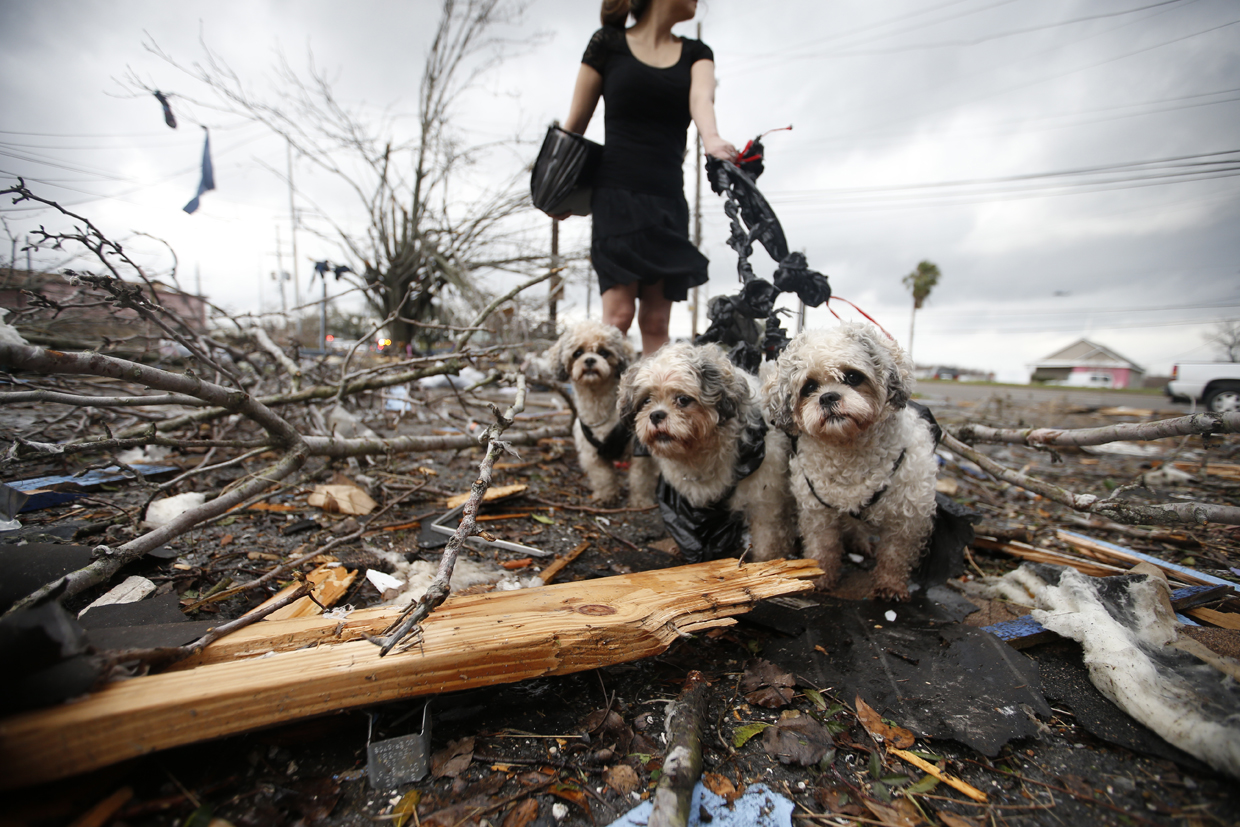 NEW ORLEANS, LA - FEBRUARY 07: A woman holds three dogs by a make-shift leash amongst the debris left behind by a tornado on February 7, 2017 in New Orleans, Louisiana. According to the weather service, 25 people were injured in the aftermath of the tornado. (Photo by Sean Gardner/Getty Images)
