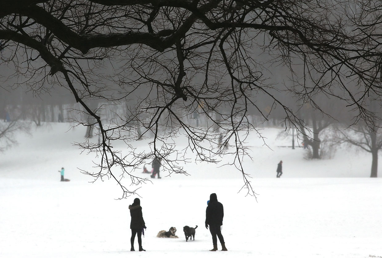 NEW YORK, NY - MARCH 14: People and their dogs enjoy and afternoon in the sleet and snow in Brooklyn's Prospect Park on March 14, 2017 in New York City. New York City and New Jersey experienced near blizzard conditions as the late winter storm brought up to seven inches of snow to the area. Schools, flights, businesses and public transportation are closed or restricted throughout the area. (Photo by Spencer Platt/Getty Images)