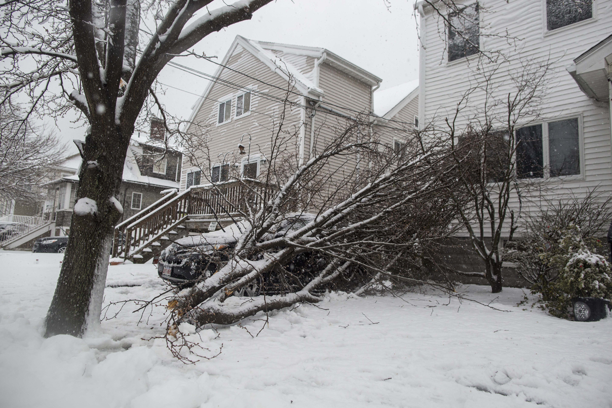 REVERE, MA - MARCH 14: A downed tree on top of a car on Chamberlain Ave as Winter Storm Stella bears down on March 14, 2017 in Revere, Massachusetts. (Photo by Scott Eisen/Getty Images)