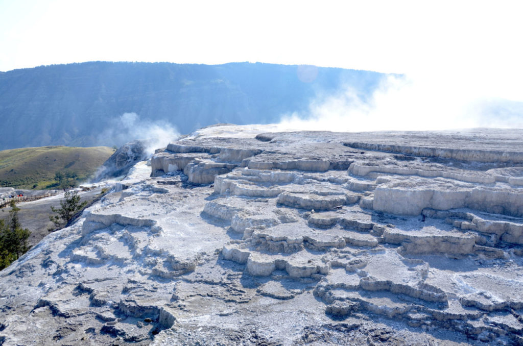 Một cảnh sắc lạ lùng trên đỉnh Mammoth Hot springs, Yellowstone. (Hình: ATNT Tours & Travel)