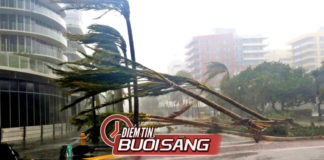 Bão Irma - Florida