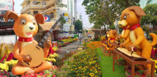 Chó đờn ca tài tử