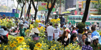 tranh giành hoa kiểng đường hoa Sài Gòn