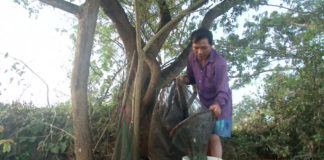 Đặt Lú trên sông rạch Miền Tây