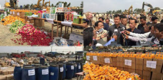 Tiêu hủy 110 tấn mỹ phẩm Nhật, Pháp bị làm giả tại Cambodia