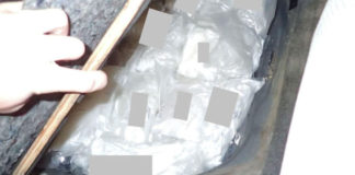 Giấu $1 triệu ma túy trong xe, một phụ nữ bị bắt