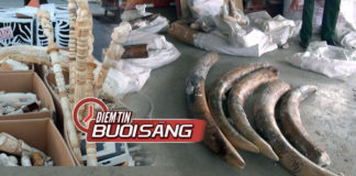 Video Điểm tin buổi sáng ngày 15 tháng 5 năm 2018