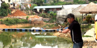 Phóng sự Việt Nam: Đôi khi câu cá không phải để ăn