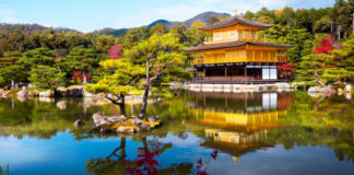 Thế giới trong tầm tay: Chùa Vàng Kinkakuji ở Kyoto