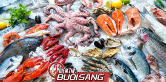 Video Điểm tin buổi sáng ngày 26 tháng 6 năm 2018