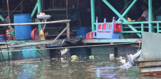 Tin trong ngày: Đảo du lịch Cát Bà ở Hải Phòng ô nhiễm nặng