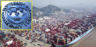 khung cảnh hải cảng Yangshan Deepwater Port tại Bến Thượng Hải, Trung Hoa