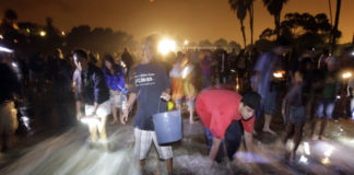 Video Đi bắt cá Grunion đêm ở California