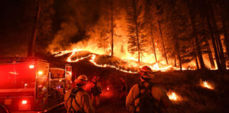 Video tin ngắn: Carr Fire, đám cháy rừng lớn nhất ở California