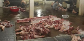 Video Đồng Nai phá lò mổ heo lậu chuyên mổ heo bệnh, heo chết
