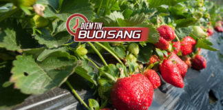 Video Điểm tin buổi sáng ngày 24 tháng 9 năm 2018