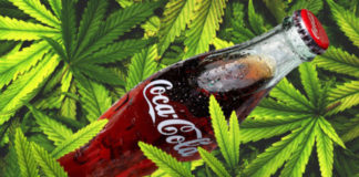 Video Coca-Cola chuẩn bị tiến vào thị trường nước giải khát cần sa