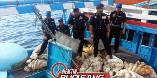 Video Điểm tin buổi sáng ngày 19 tháng 10 năm 2018