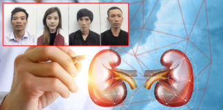 Video Phát hiện các đường dây mua bán thận ở Hà Nội