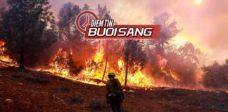 Video Điểm tin buổi sáng ngày 12 tháng 11 năm 2018