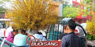 Video Điểm tin buổi sáng ngày 22 tháng 1 năm 2019