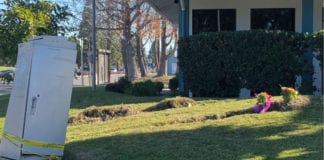 Video Một bà gốc Việt đứng ở Mile Square Park bị xe vượt đèn đỏ tông chết