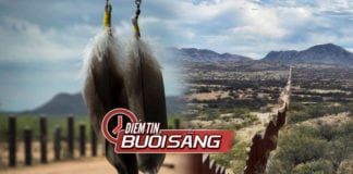 Video Điểm tin buổi sáng ngày 20 tháng 2 năm 2019