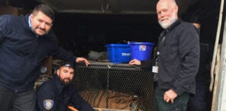 Video Vào căn nhà bỏ hoang hút cần sa, gặp con cọp trong chuồng