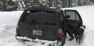 Video Bị kẹt trong tuyết 5 ngày, ăn tương ớt Taco Bell cầm cự