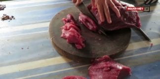 Video Hoang mang dịch tả lợn và cúm gà ở Việt Nam
