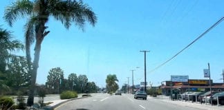 Video Ông Việt Nam băng qua đường ở Little Saigon bị xe tông chết
