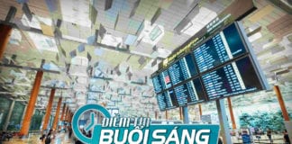Mua vé chỉ để vào tiễn vợ ở cửa phi cơ, một ông bị cảnh sát Singapore bắt