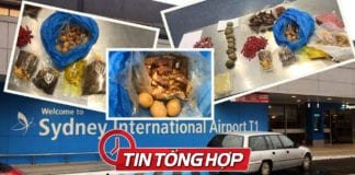 Người Việt bị trục xuất, hủy visa vì mang thịt kho tàu vào Úc, thịt chó tới Nhật
