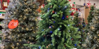 Giá cây thông Noel ở Mỹ năm nay tăng cao