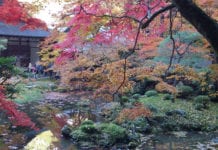 Video du lịch: Thưởng ngoạn mùa Thu Kyoto (1/2)