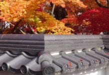 Video du lịch: Thưởng ngoạn mùa Thu Kyoto (2/2)